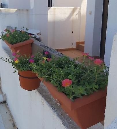 Condado De Alhama, Naranjos 8 Apartment Alhama de Murcia Ngoại thất bức ảnh